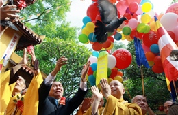 Mừng Đại lễ Phật đản 2013